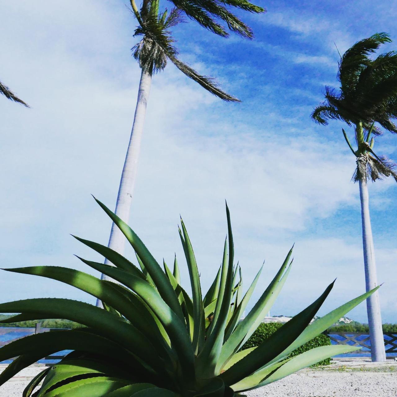 Vila Do Vento Fortim Exteriér fotografie